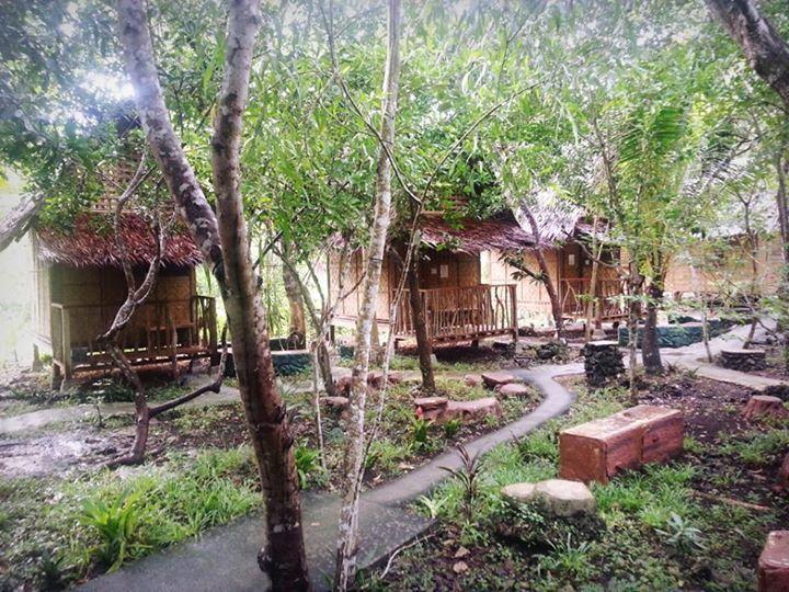 Bohol Coco Farm Vandrerhjem Panglao Eksteriør bilde