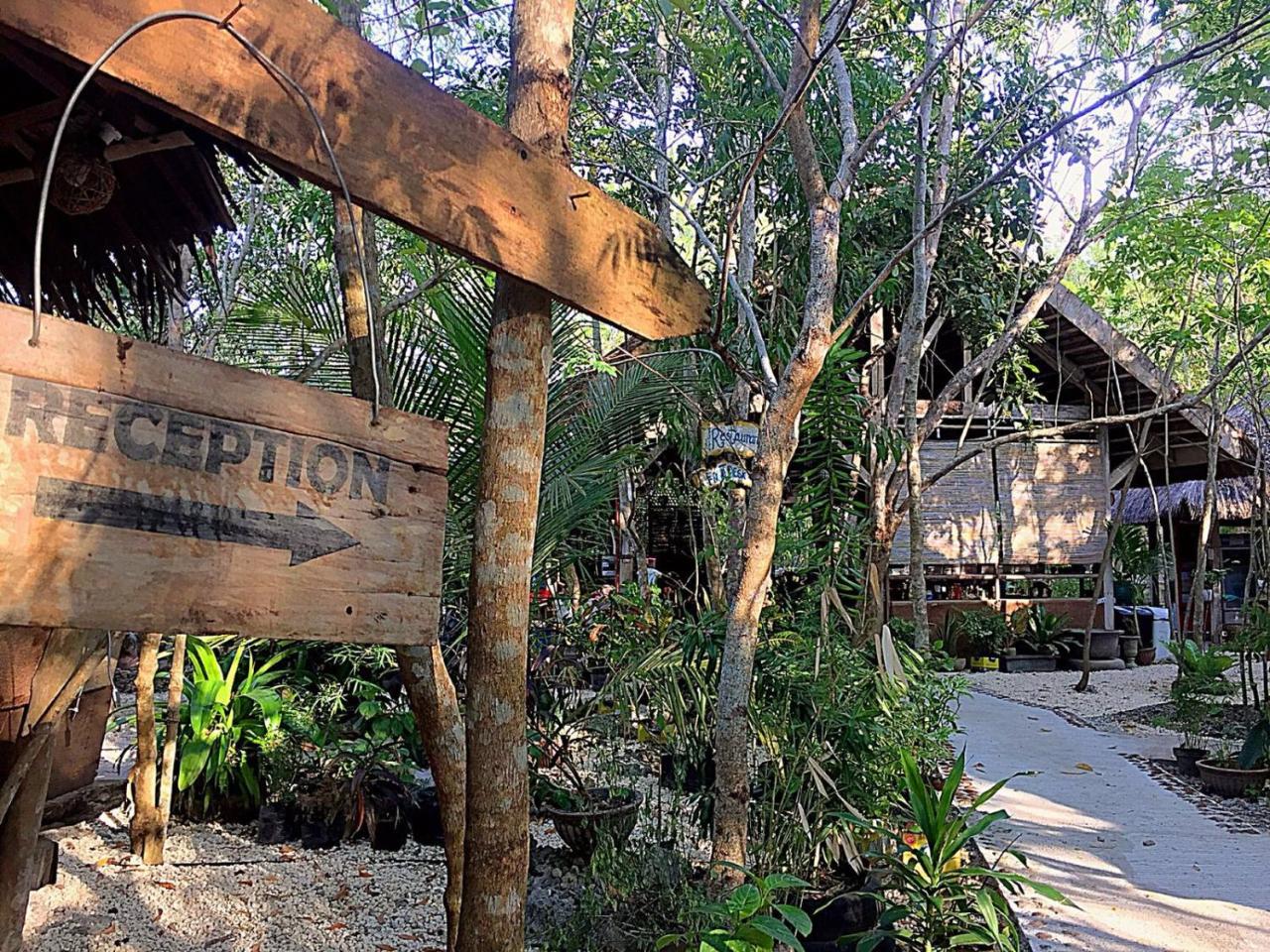 Bohol Coco Farm Vandrerhjem Panglao Eksteriør bilde